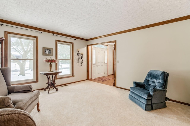 living area with crown molding, light colored carpet, and a textured ceiling