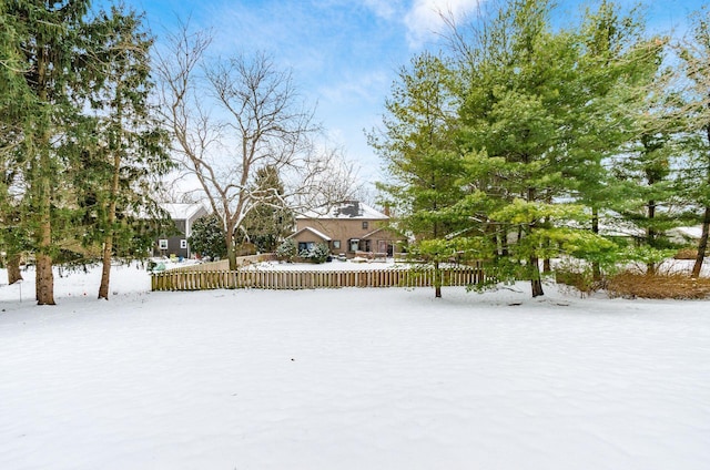 view of yard covered in snow