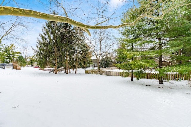 view of yard covered in snow