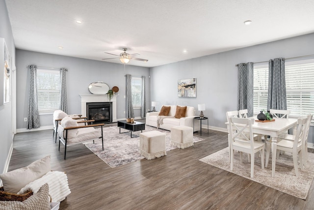 living room with a wealth of natural light, dark wood-type flooring, and ceiling fan