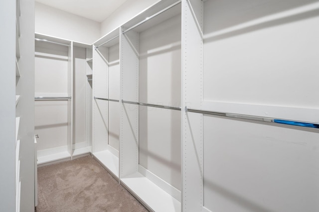 spacious closet with light carpet