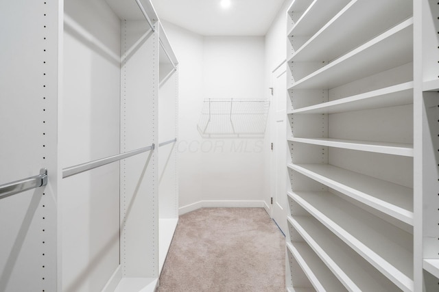 walk in closet with light carpet