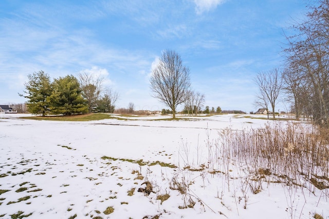 view of yard layered in snow