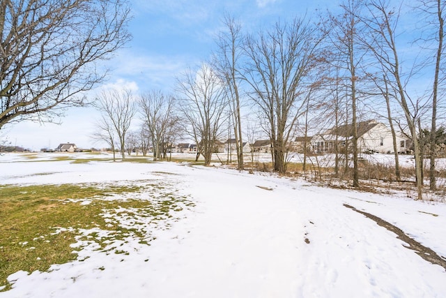 view of yard layered in snow