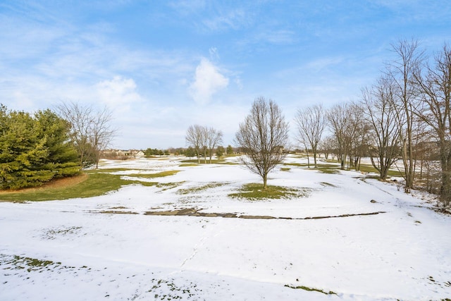 view of yard layered in snow