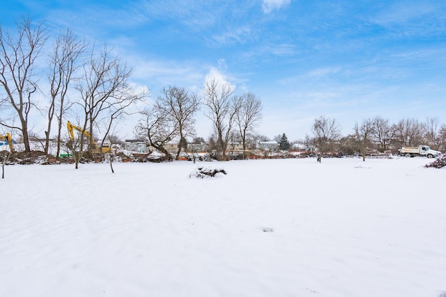 view of yard covered in snow