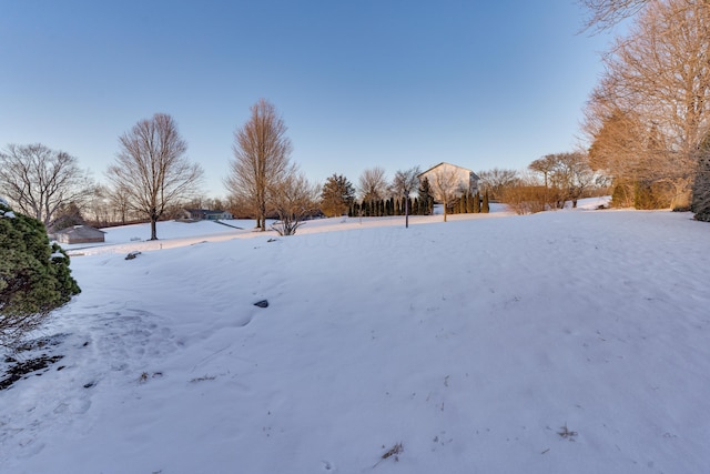 view of yard layered in snow