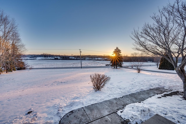 view of yard covered in snow