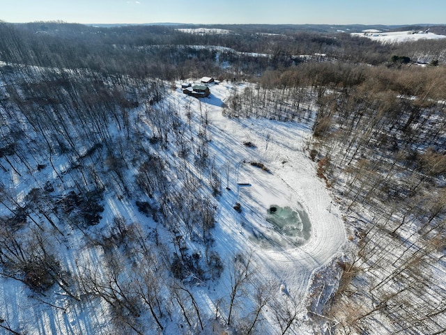 view of snowy aerial view