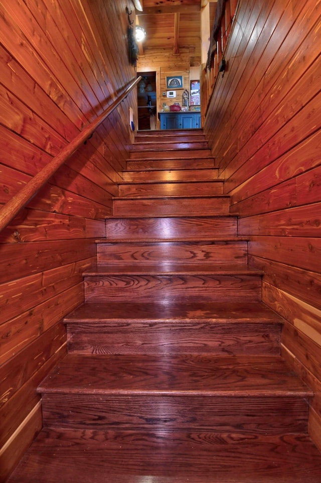 stairway with wooden walls