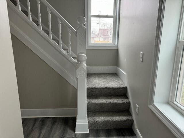 staircase featuring wood-type flooring