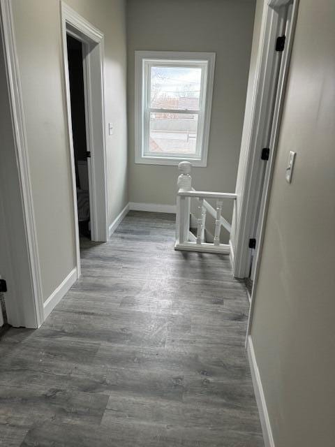 hallway with dark wood-type flooring