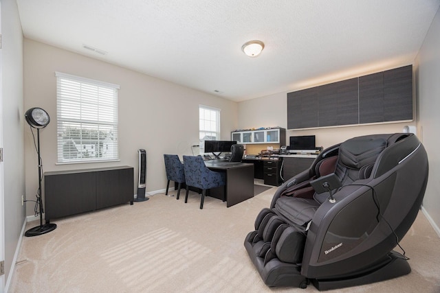 office space featuring light colored carpet and a textured ceiling