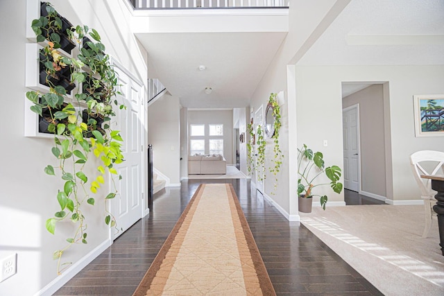 hall featuring dark hardwood / wood-style flooring