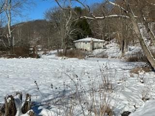 view of snowy landscape