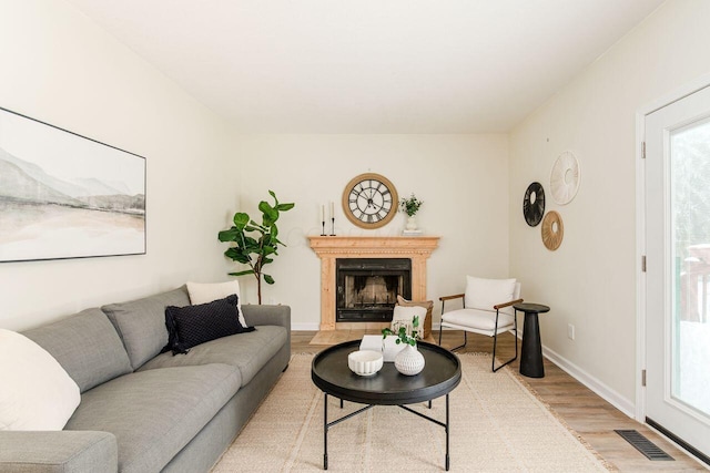 living room featuring a fireplace, a wealth of natural light, and hardwood / wood-style flooring