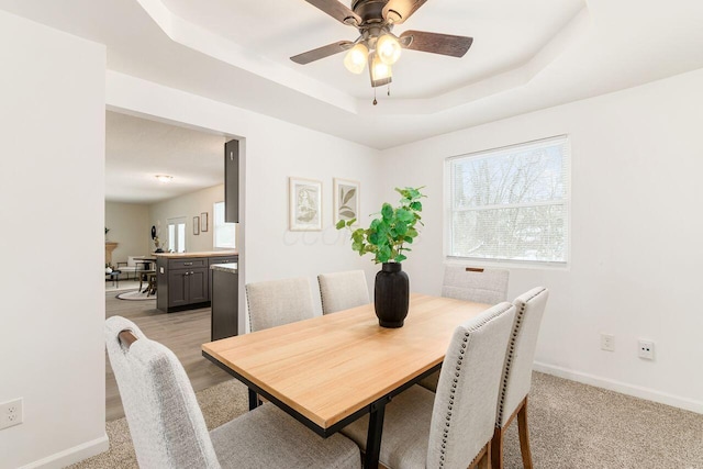 dining area featuring ceiling fan and a tray ceiling