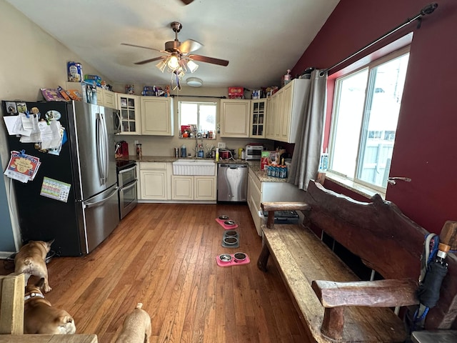 kitchen featuring appliances with stainless steel finishes, light hardwood / wood-style floors, plenty of natural light, and sink