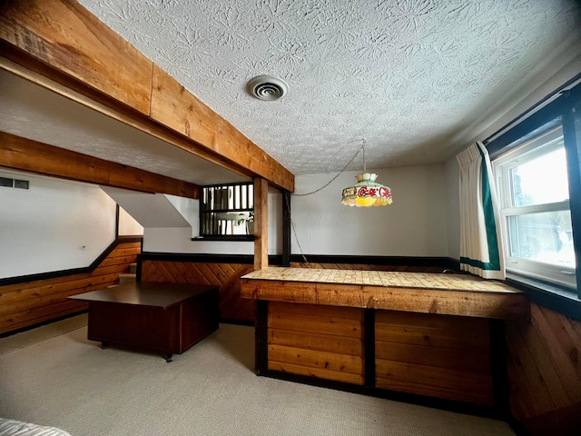 playroom featuring a textured ceiling, wood walls, and light colored carpet