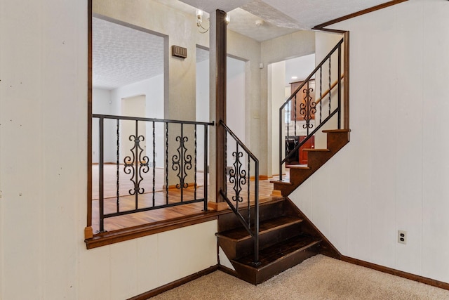 staircase featuring carpet floors