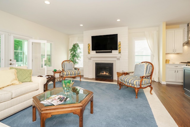 living room with dark wood-type flooring