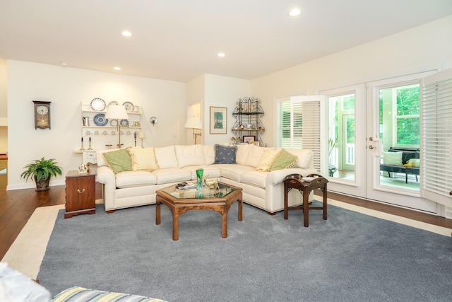 living room with dark hardwood / wood-style floors