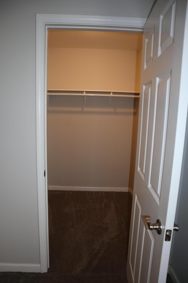 view of closet