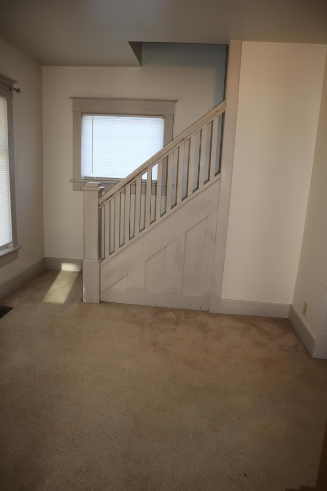 staircase with carpet floors