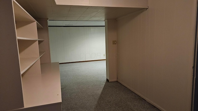 walk in closet with carpet