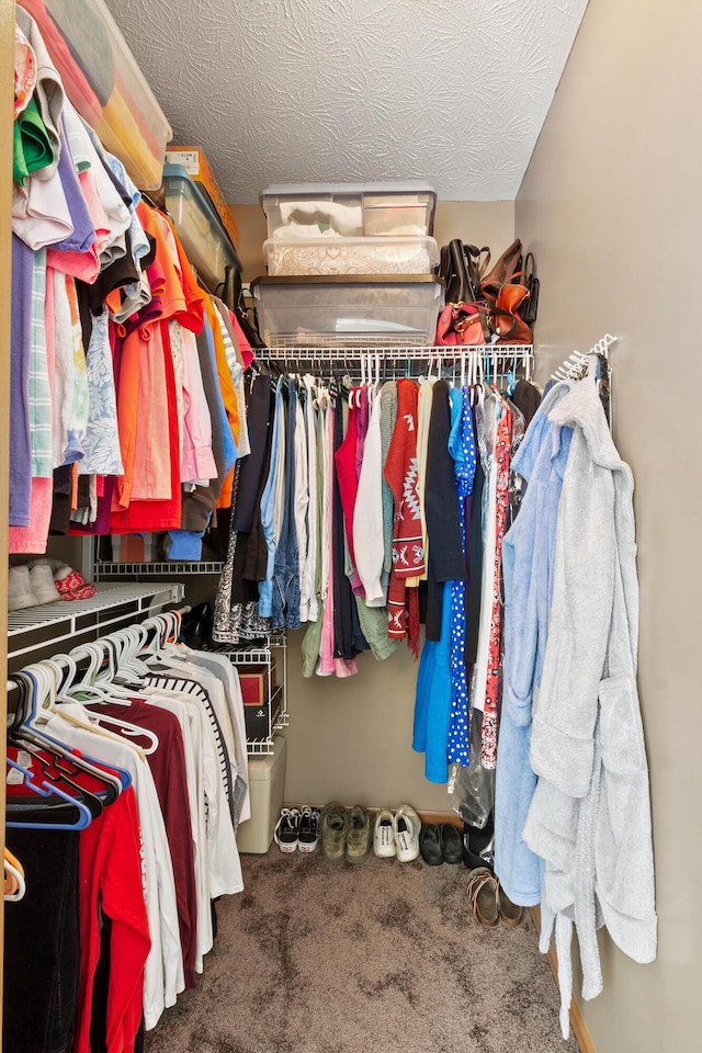 walk in closet with carpet flooring