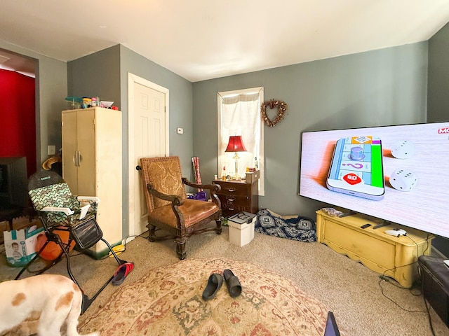 living area with carpet floors