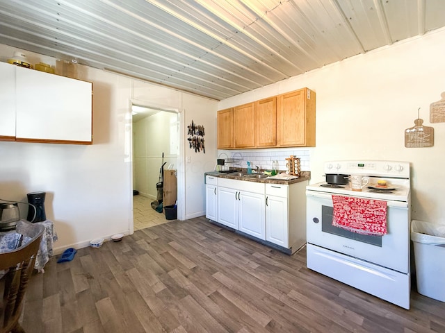 kitchen with white electric range, hardwood / wood-style floors, tasteful backsplash, and sink