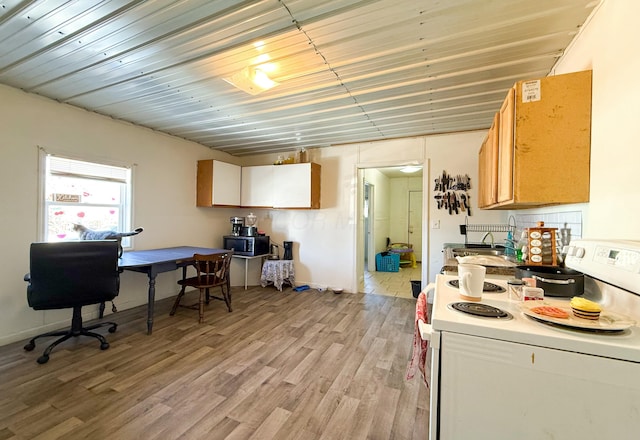 kitchen with sink, electric range, and light hardwood / wood-style flooring