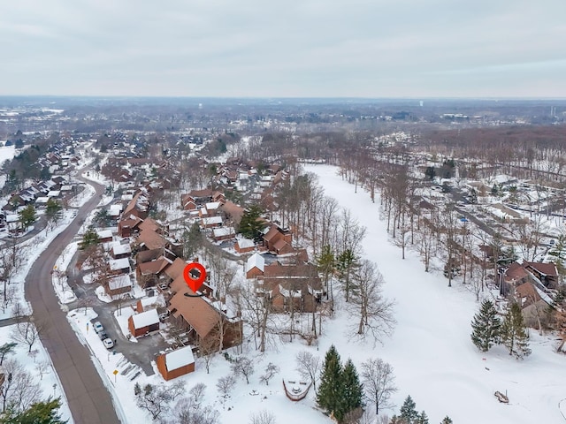 view of snowy aerial view