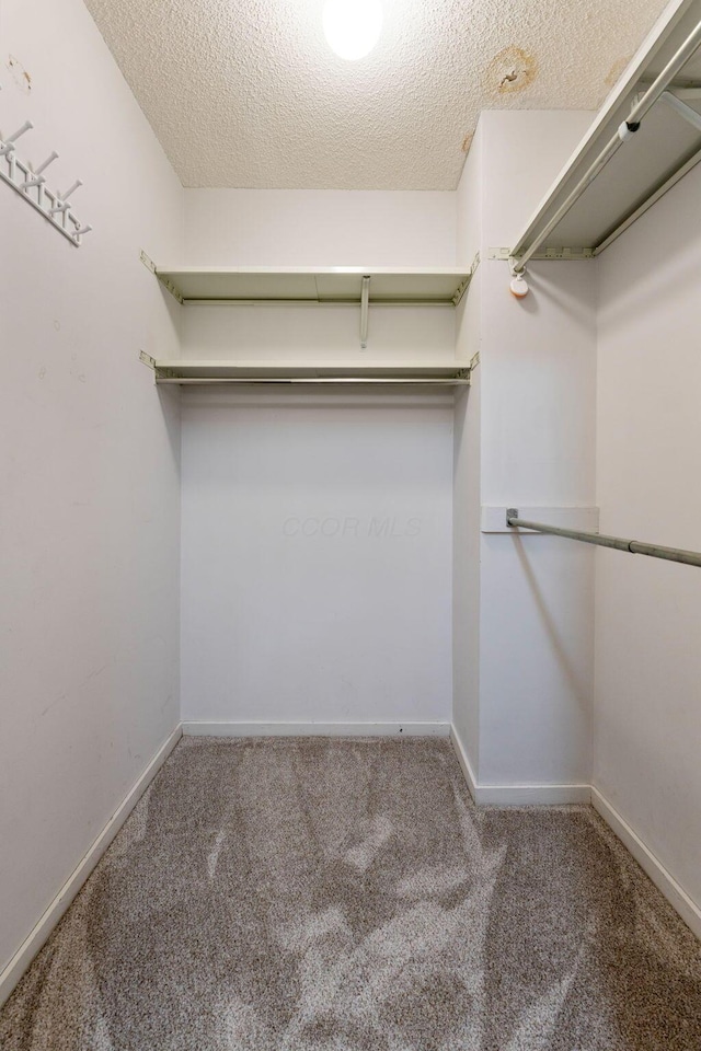 spacious closet with carpet flooring