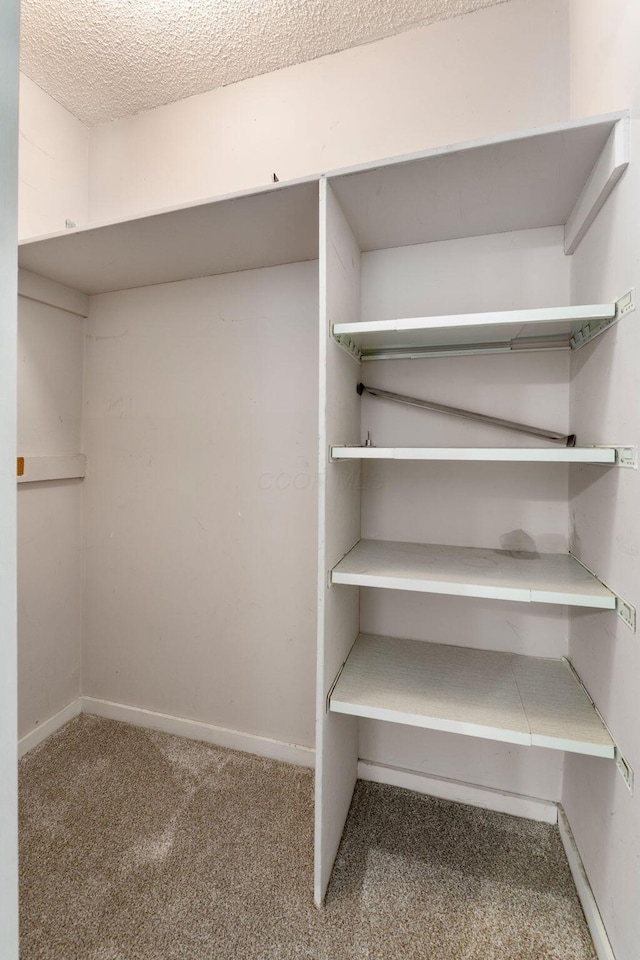 walk in closet with carpet