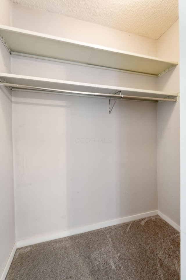 spacious closet featuring carpet floors