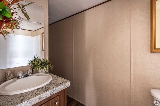 bathroom with toilet, vanity, and a textured ceiling