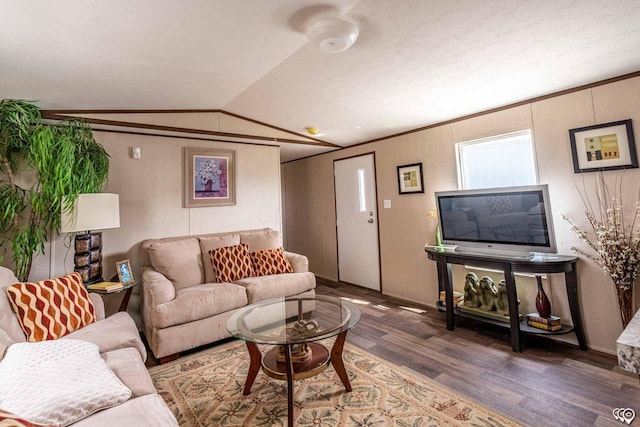 living room featuring wood-type flooring and lofted ceiling