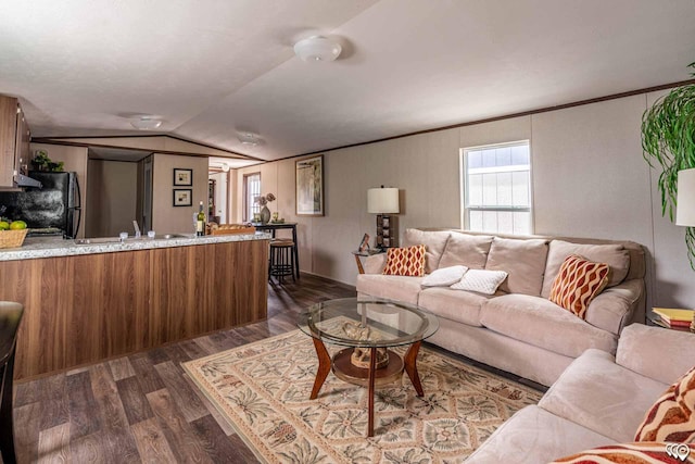 living room featuring vaulted ceiling, dark hardwood / wood-style flooring, and sink