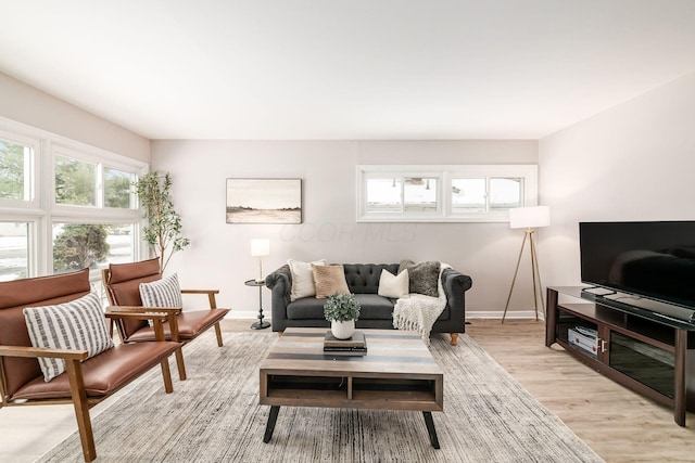 living room with light hardwood / wood-style flooring