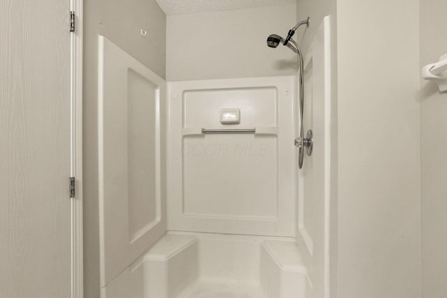 interior space with walk in shower