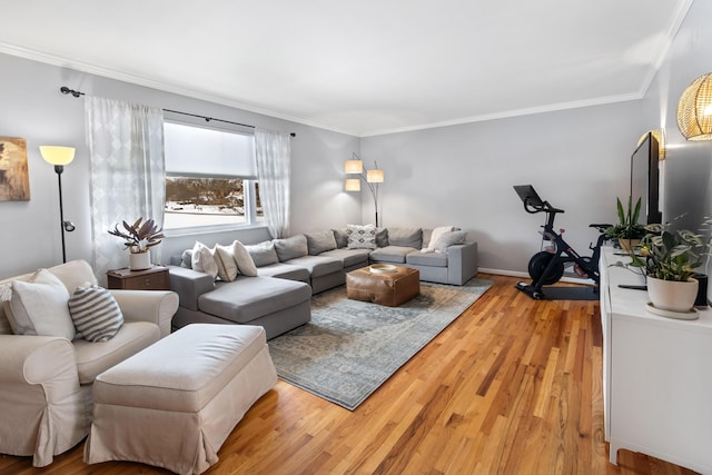 living room featuring wood-type flooring and ornamental molding