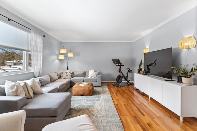 living room with crown molding and light hardwood / wood-style floors