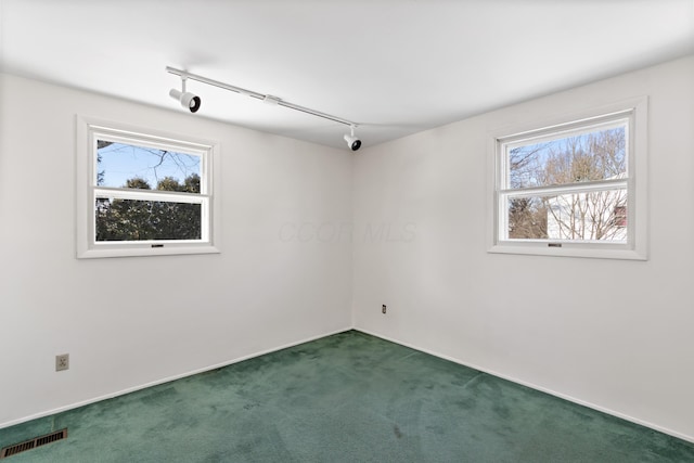 carpeted spare room with rail lighting and a healthy amount of sunlight