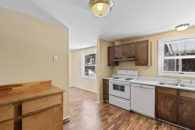 kitchen with dark brown cabinetry, sink, white appliances, and hardwood / wood-style flooring