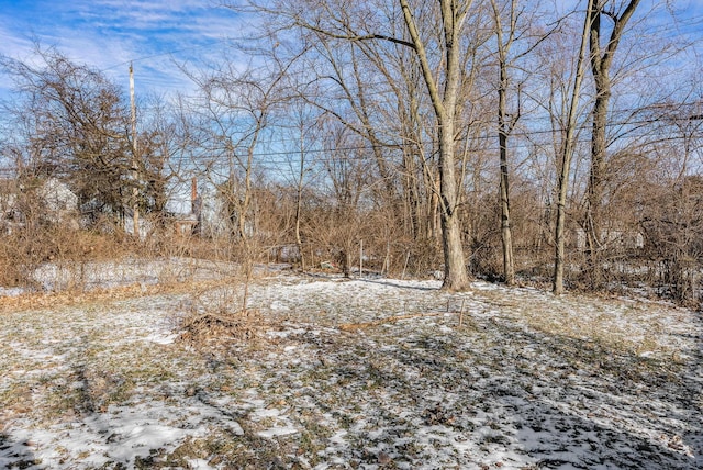 view of snowy landscape