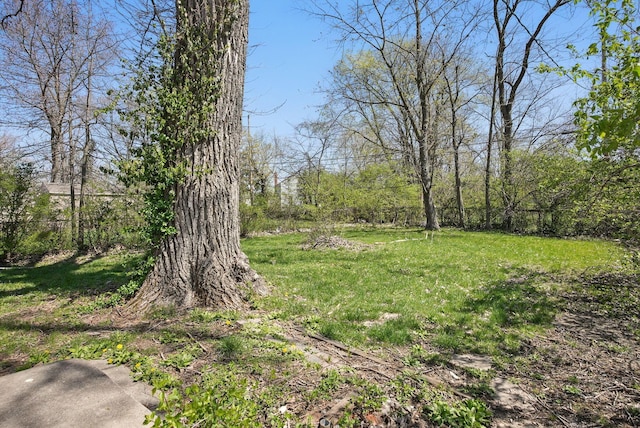 2404 Bancroft St, Columbus, OH 43211 - view of yard