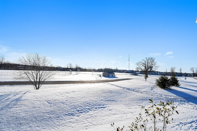 view of snowy yard