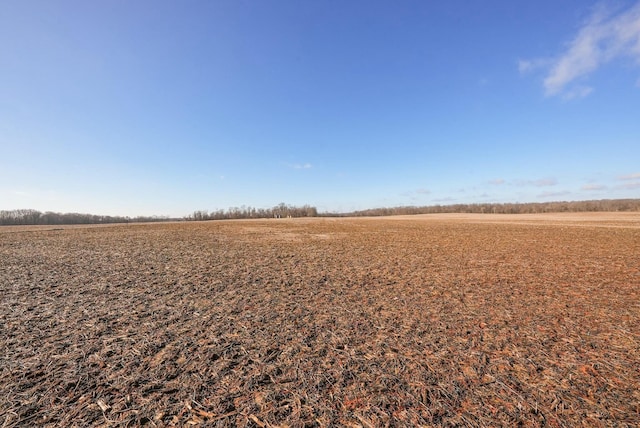 view of nature featuring a rural view